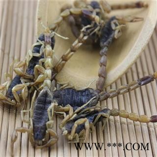 蝎子 山西陕西盐水全蝎伏货 产地 陕西 华美中药 产地直销 重在品质图3