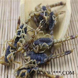 蝎子 山西陕西盐水全蝎伏货 产地 陕西 华美中药 产地直销 重在品质图2