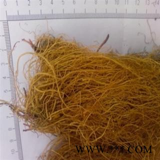 细辛 辽细辛 水洗细辛 产地 辽宁省抚顺市市辖区图2