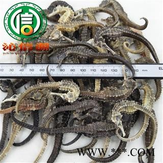 【满包邮】清水海马平均2~3克每条散装广东产地直供沁信源中药批发图2
