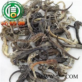 【满包邮】清水海马平均2~3克每条散装广东产地直供沁信源中药批发图4