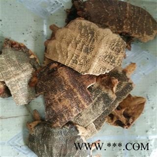 鳖甲 鳖甲净货 产地 福建省图2