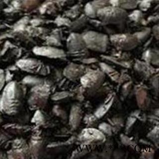 小丽百草行九香虫 黑兜虫 屁板虫 大个不加油图2