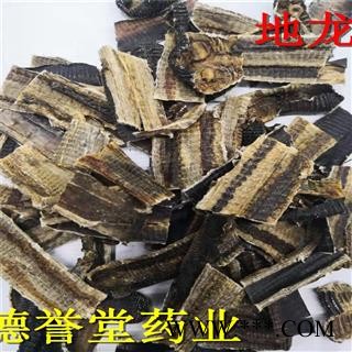地龙 大开 无泥头 产地海南省 地龙 德誉堂药业批发各种中药材图3