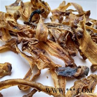 地龙 河南地龙全开货  产地 河南省图2