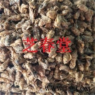 正品无硫中药材批发 雄蚕蛾 晚蝉蛾 魏天蛾 原蝉蛾量大从优图4