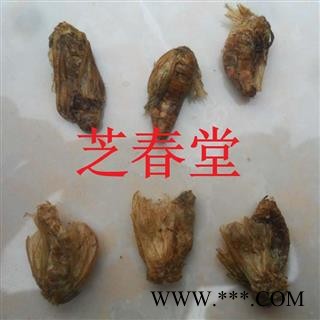 正品无硫中药材批发 雄蚕蛾 晚蝉蛾 魏天蛾 原蝉蛾量大从优图2