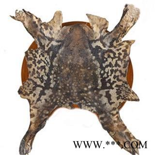 芝春堂 中药材批发零售 整张蟾皮 整张蟾衣 支持验货图3