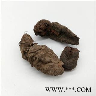 【满298元包邮】拳参 统货 草河车   紫参  九牛燥  产地 云南省图3