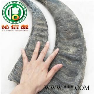 【满包邮】牛角中个、大个 个子选货散装四川产地直供水牛角沁信源中药批发图3