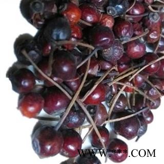 煜庭药业 营实图2