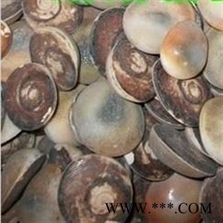 小丽百草行太极石 水云母 海螺盖 催生子图2