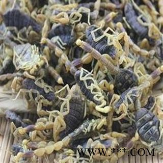 全虫 黑色大蝎子 山东淡盐全蝎秋货 无人为加重 假一赔十  产地 山东省图2