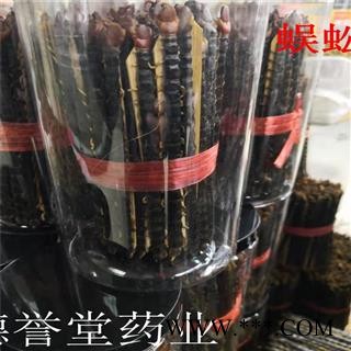 蜈蚣 大条精选 15-16厘米 产地 湖北 德誉堂批发各种中药材图3