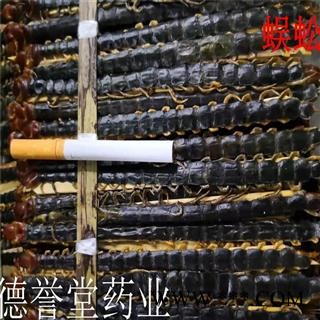 蜈蚣 大条精选 15-16厘米 产地 湖北 德誉堂批发各种中药材图2