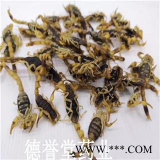德誉堂药业 全清水全蝎公蝎子没肚子干度好清水全虫图4