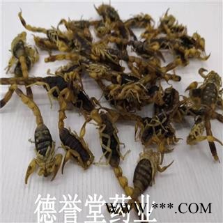 德誉堂药业 全清水全蝎公蝎子没肚子干度好清水全虫图3