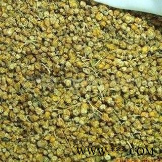 野菊花 野菊花统货 过筛无杂质 质量好 产地 河南省图2