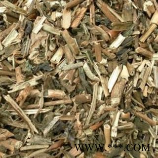 长春花 常春花 优质正品 产地 广西壮族自治区图2