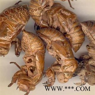 蝉蜕水洗货正品保证质量7天无理由退货退款 华安堂图3