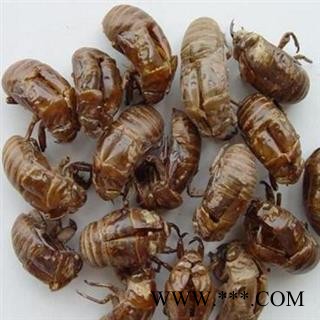 蝉蜕水洗货正品保证质量7天无理由退货退款 华安堂图4