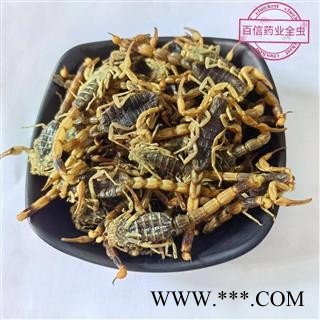 全蝎 山西陕西淡盐全蝎秋货 产地 山西省图4