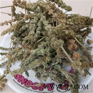 瑞森药材行荆芥穗 荆芥穗统货芥穗 有一定量种子 产地 河北省图2