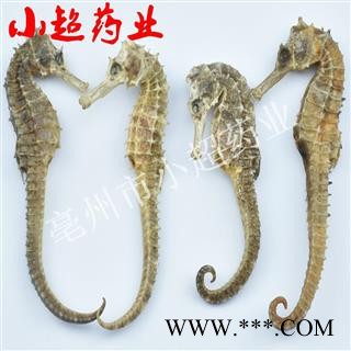 海马 05海马 统 2-3克 产地 福建省图4