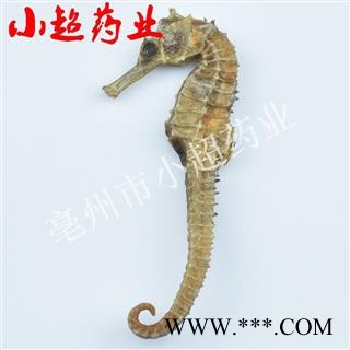 海马 05海马 统 2-3克 产地 福建省图3