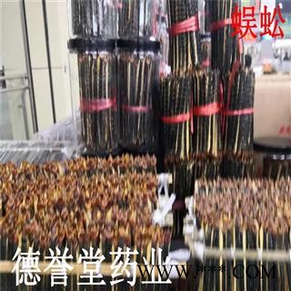 蜈蚣 中条蜈蚣12厘米 蜈蚣条 产地湖北 德誉堂批发各种中药材图2