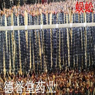 蜈蚣 中条蜈蚣12厘米 蜈蚣条 产地湖北 德誉堂批发各种中药材图3
