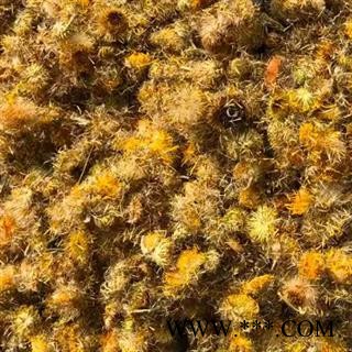 中药材旋复花 本品是野生 新货纯天然无硫无添加 自然晒干 纯净物杂 千挑万选 质量有保证 安国中药材批发零售大全图4