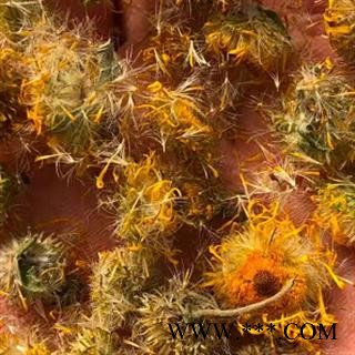 中药材旋复花 本品是野生 新货纯天然无硫无添加 自然晒干 纯净物杂 千挑万选 质量有保证 安国中药材批发零售大全图2