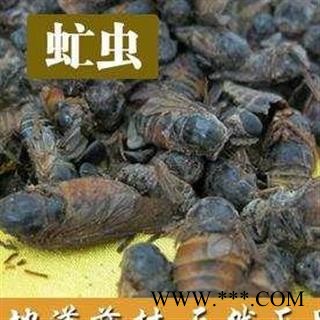 虻虫 牛虻虫 牤虫  精品选货正品保证质量7天无理由退货退款 中药材批发 丽丽药业图2
