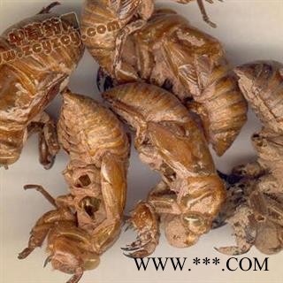 蝉蜕水洗货正品保证质量 250克一袋 7天无理由退货退款 华安堂图2