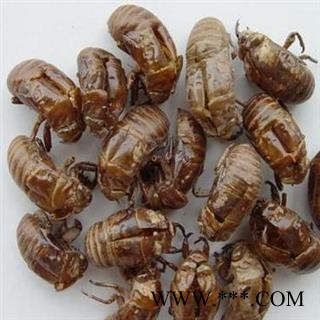 蝉蜕水洗货正品保证质量 250克一袋 7天无理由退货退款 华安堂图4