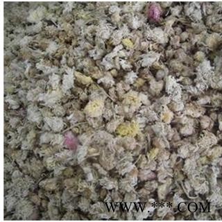 菊花 亳菊 产地 安徽省亳州市  产地直销图3