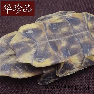 龟甲 03 巴西龟板 统 产地 福建省图2