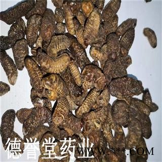 蛴螬 土蚕虫子 老母虫 核桃虫 粪虫 德誉堂批发各种中药材图3