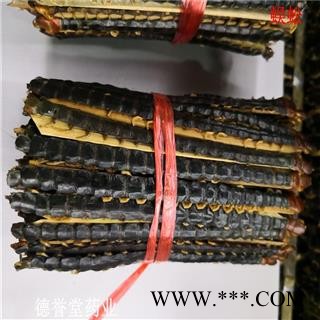 蜈蚣 中条13厘米蜈蚣 产地 湖北 德誉堂批发各种中药材图4