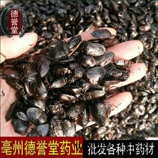 德誉堂药业 九香虫 选 大九香虫 产地 四川图1