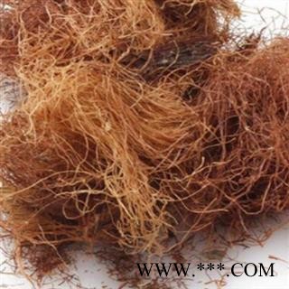 玉米须 玉米须统货 产地 河北省中药材批发零售大全图2