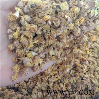 腊梅花 选 产地 江苏省扬州市广陵区图2