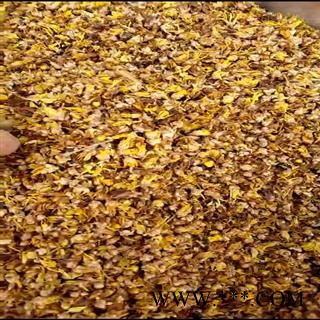 腊梅花 选 产地 江苏省扬州市广陵区图4