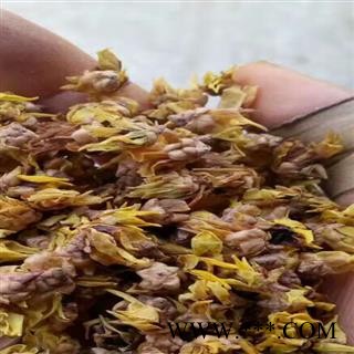 腊梅花 选 产地 江苏省扬州市广陵区图3