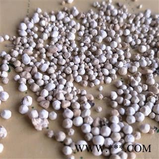 小丽百草行肾精子  结石 猪肾精子图2