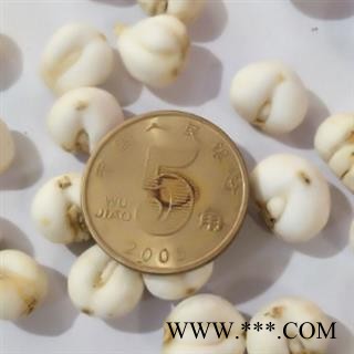 平贝 纯干手选尖头0.7平贝母全部有芽 怀中抱月 0.7 手捡好货 ，贝母  产地 吉林省图2