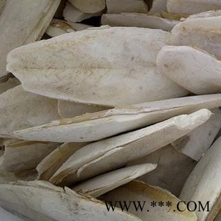 海螵蛸 选 海螵蛸 产地 山东 诚信堂批发各种中药材图3