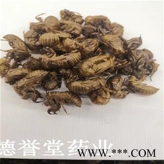 蝉蜕 水洗两遍 虫蜕 纯净货 本店批发零售各种中药材图2
