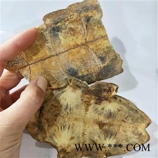 龟板 本店新到炒龟板好货无杂质实物拍摄旱龟板 产地 湖北省图2